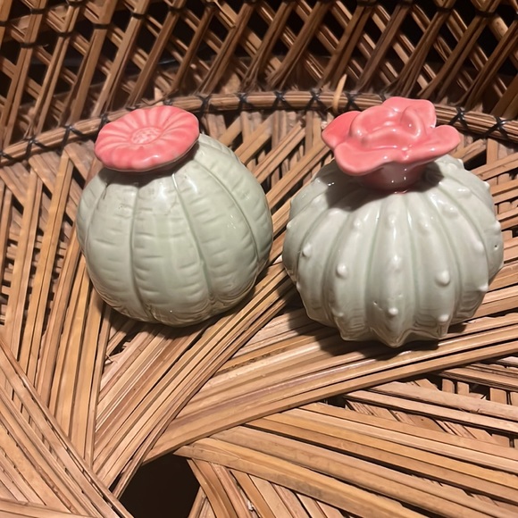 Set Of Cute Little Cactus Succulent Plants Garden Home Office Decor Paperweight - Picture 2 of 7